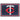MLB - Minnesota Twins 5x8 Rug