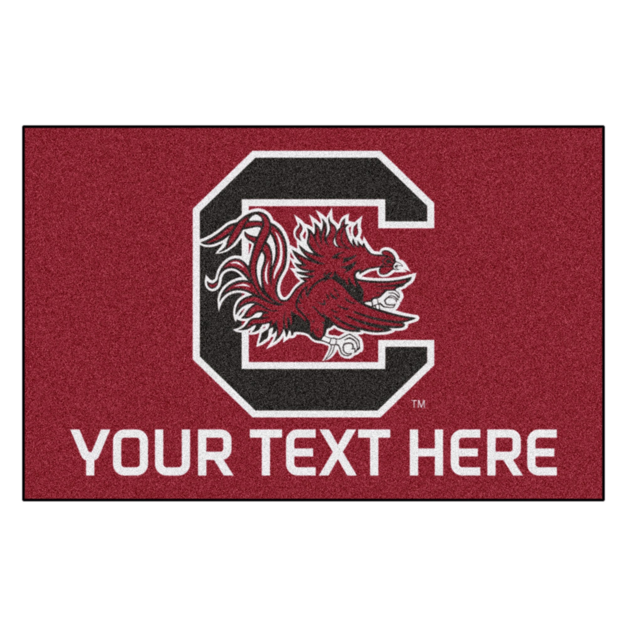 Fanmats | Personalized University of South Carolina Starter Mat