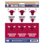 Picture of Chicago Bulls Mini Decal 12-pk