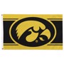 Picture of University of Iowa Standard Home Flag