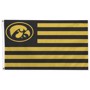 Picture of University of Iowa American Team Home Flag