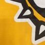 Picture of University of Iowa Standard Home Flag