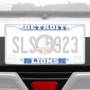 Picture of NFL - Detroit Lions License Plate Frame - White