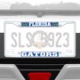 Picture of University of Florida License Plate Frame - White