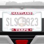 Picture of University of Maryland License Plate Frame - White