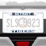 Picture of MLB - Detroit Tigers License Plate Frame - White