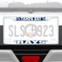 Picture of MLB - Tampa Bay Rays License Plate Frame - White