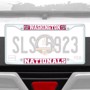 Picture of MLB - Washington Nationals License Plate Frame - White