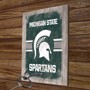 Picture of Michigan State University Hook and Ring Game