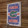 Picture of University of Florida Hook and Ring Game